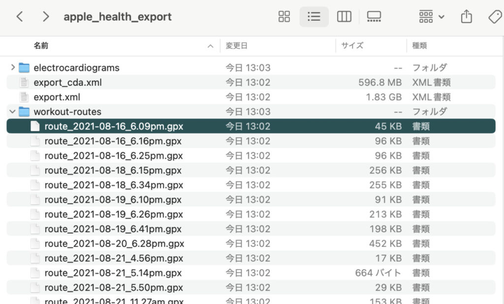 Apple ヘルスケアアプリからエクスポートしたファイル